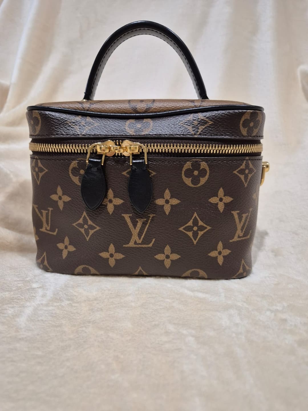 meow-hero-section-img