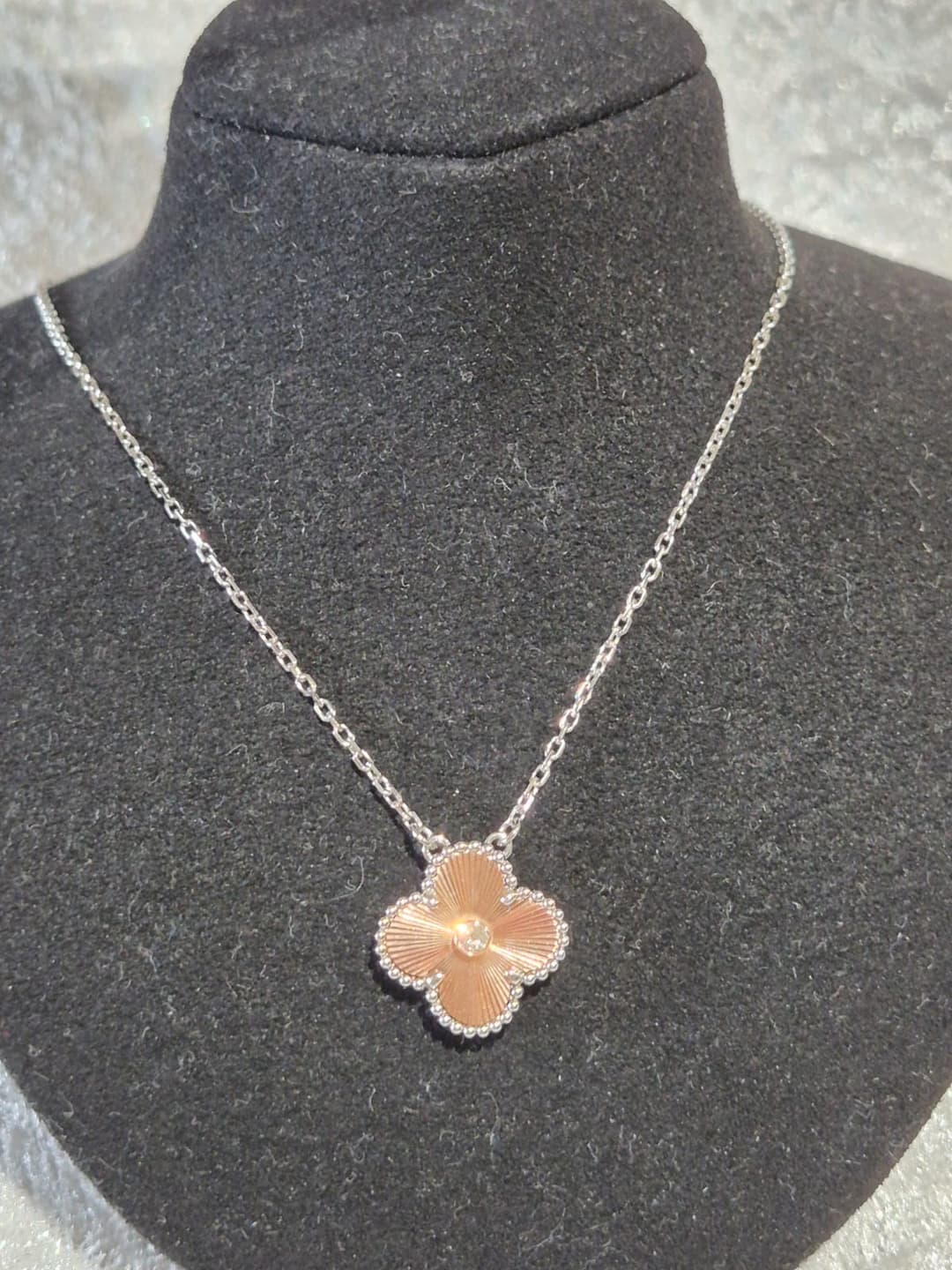 meow-hero-section-img